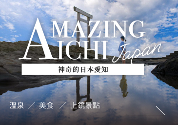 Amazing aichi