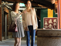 Okazaki City Old Streets Lined with Miso Storehouses 