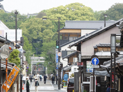 Inuyama City Inuyama Castle Town