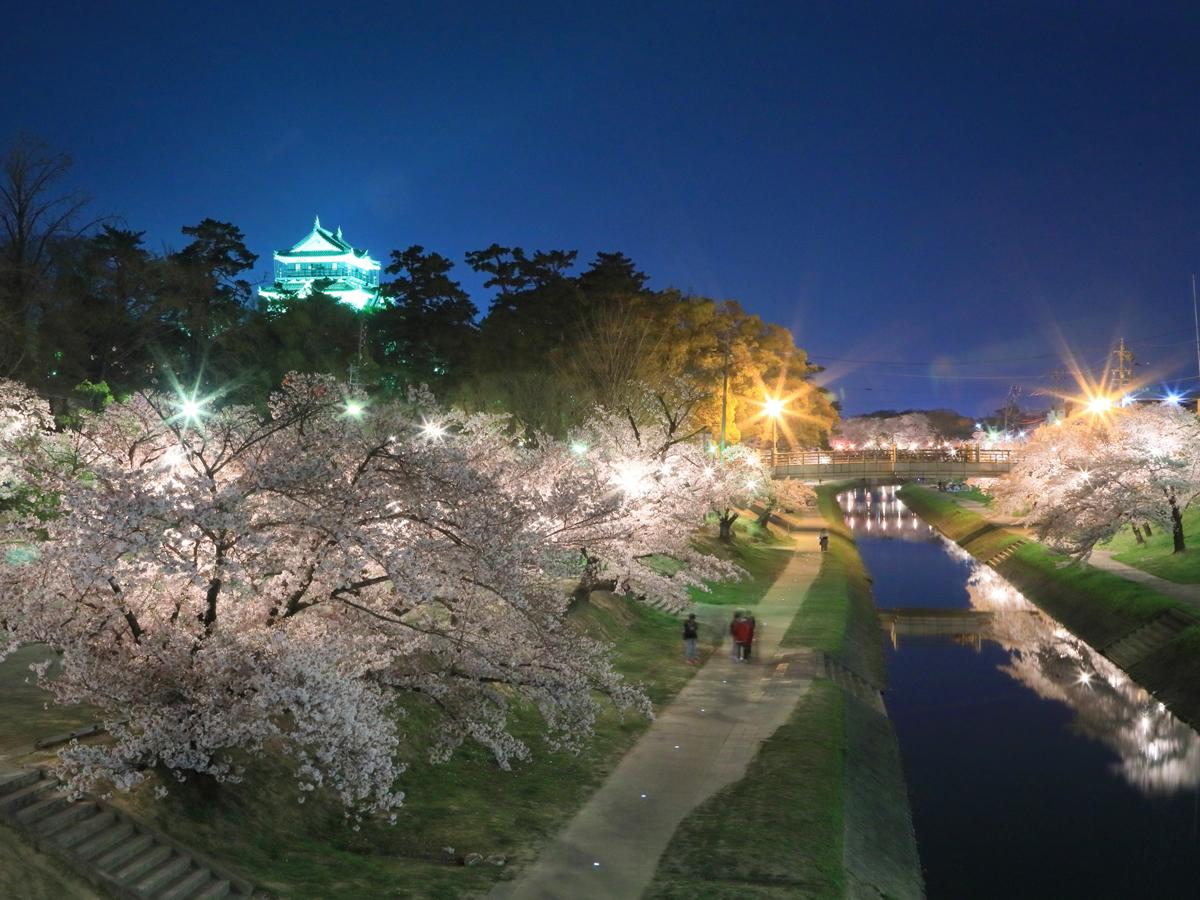 "Taman Okazaki" Festival Bunga Sakura Okazaki