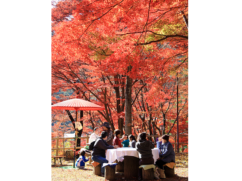 笹户温泉野山药・红叶节