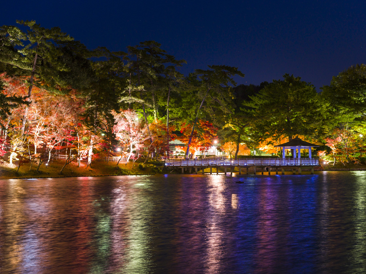 東公園　紅葉まつり