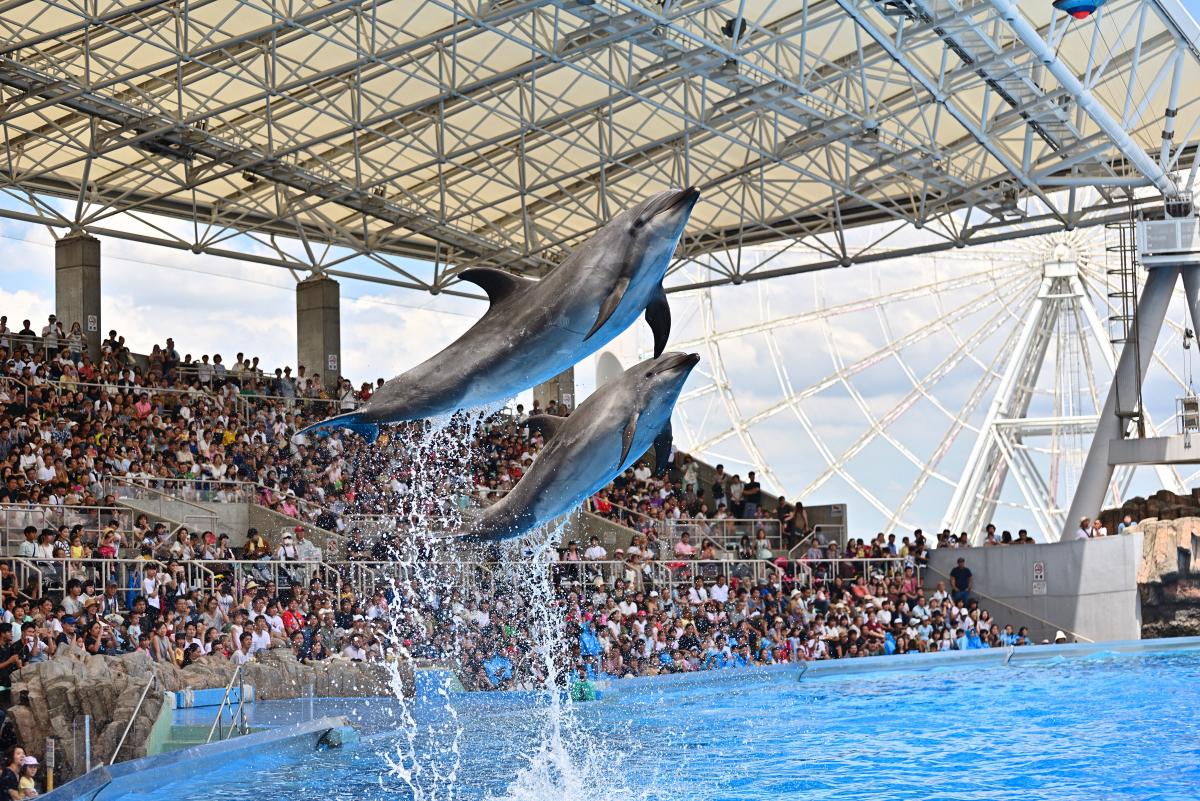 名古屋港水族館