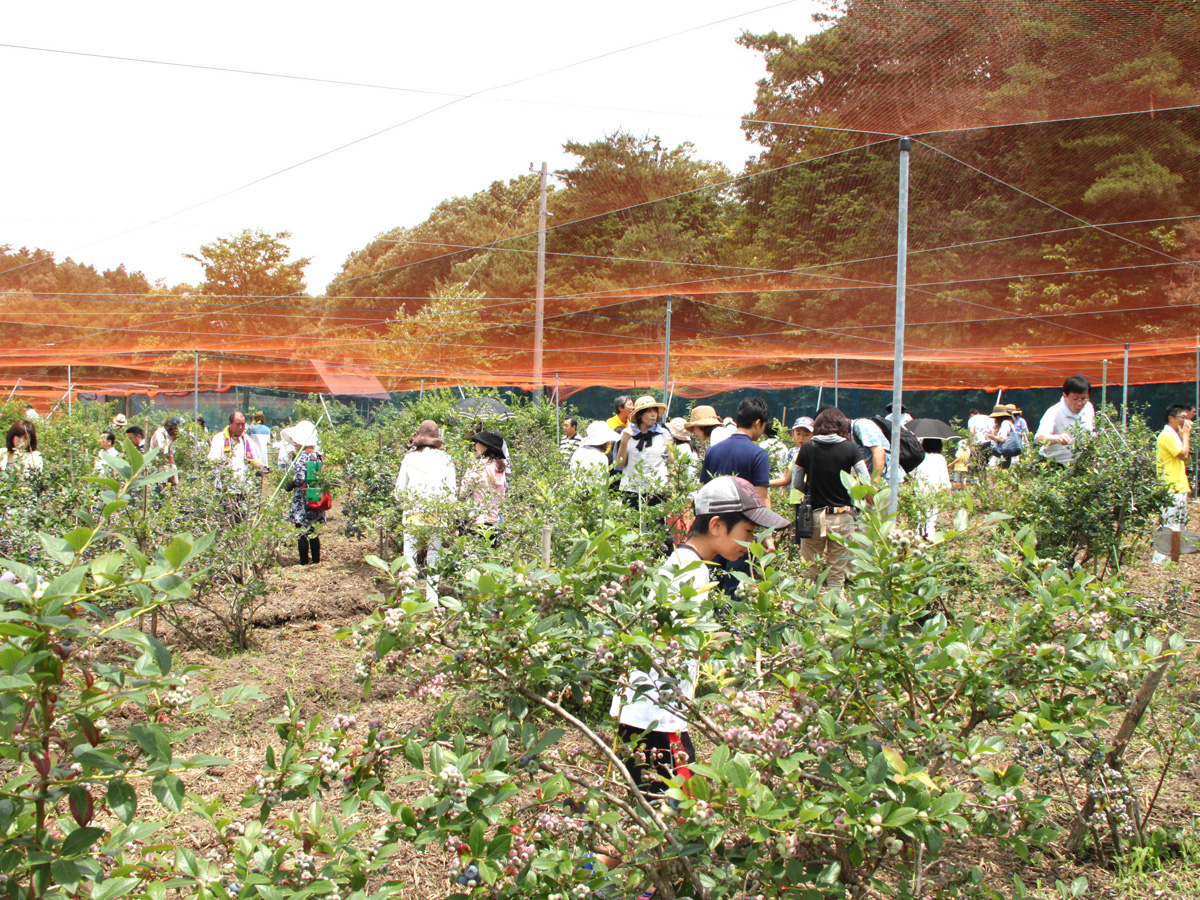 Shimoyama Bark Park