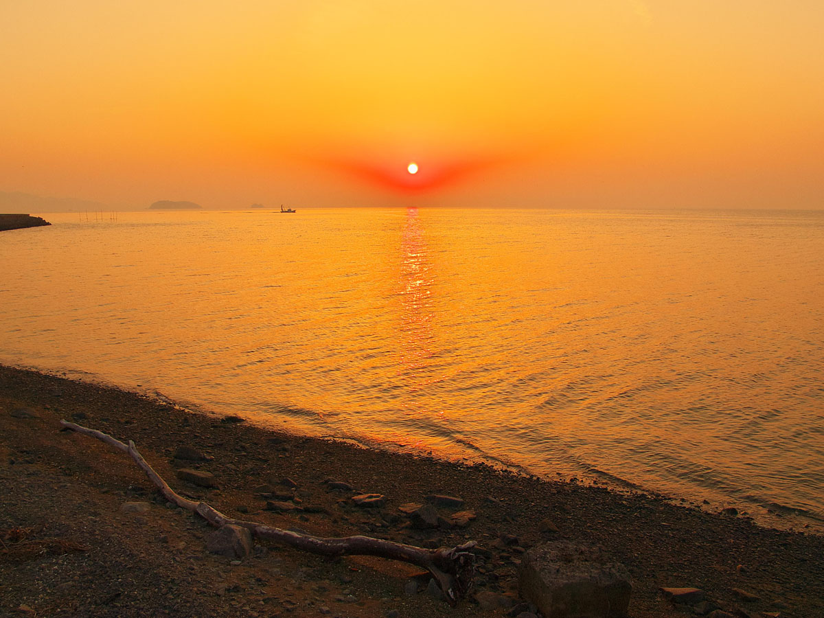 西浦海岸