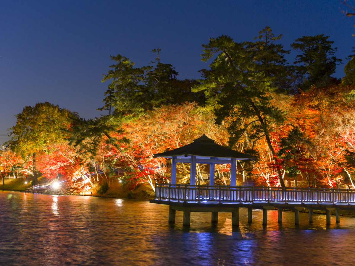 東公園　紅葉まつり