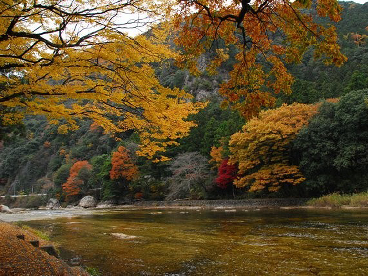 鳳来峡・板敷川