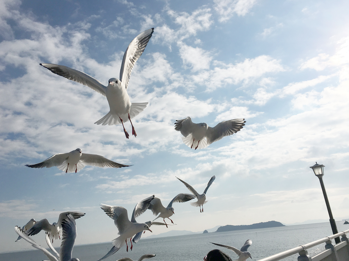 竹島園地