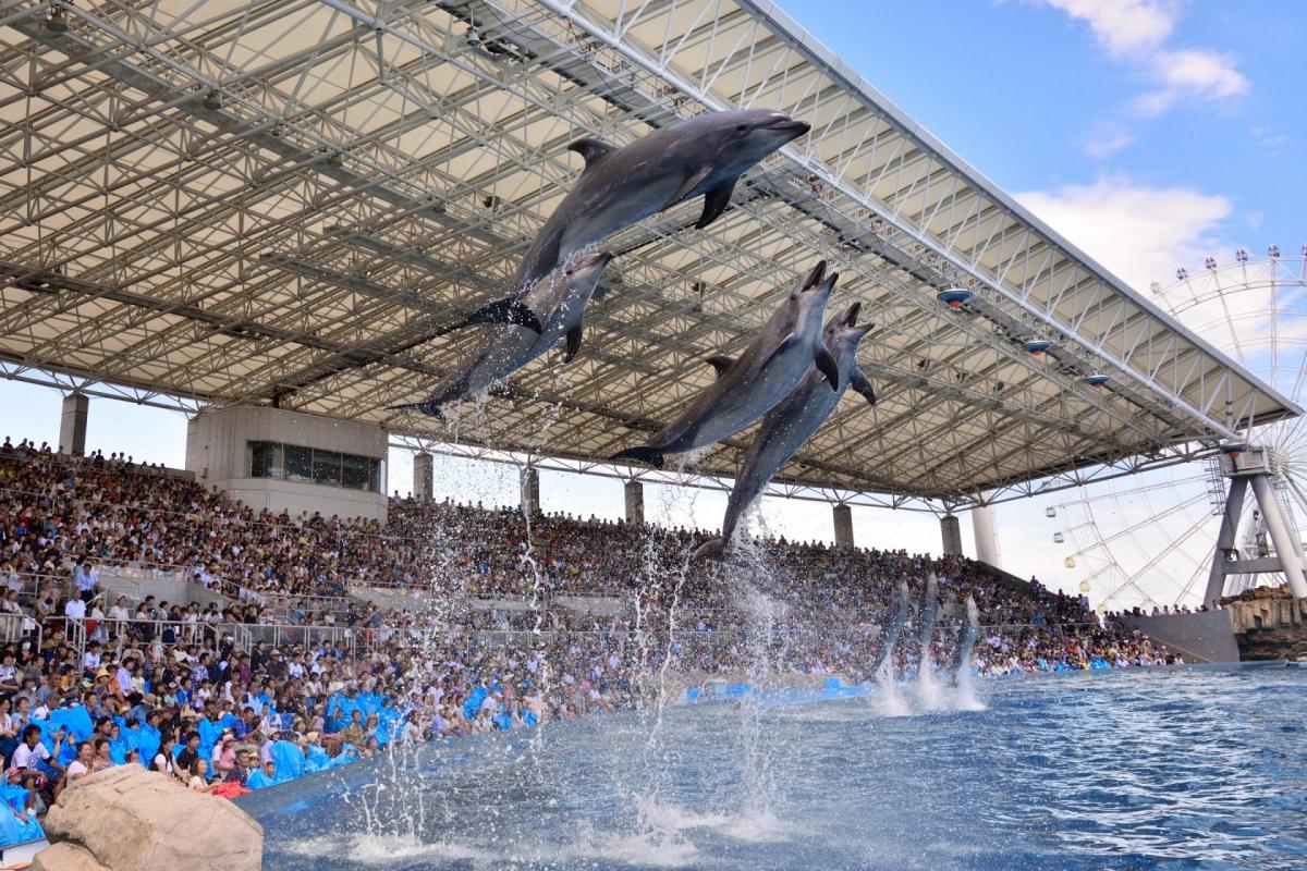 名古屋港水族馆