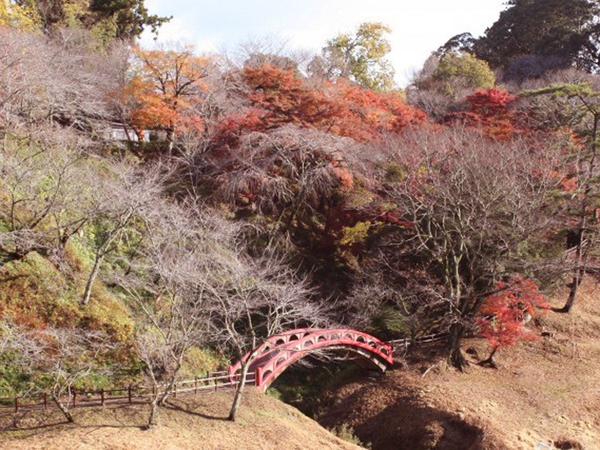 桜淵公園