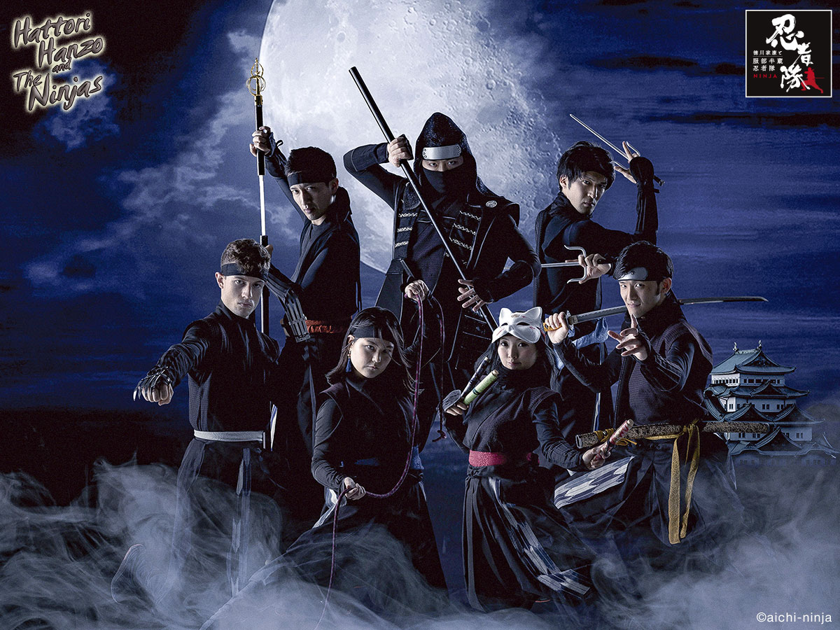 Hattori Hanzo Ninja Team