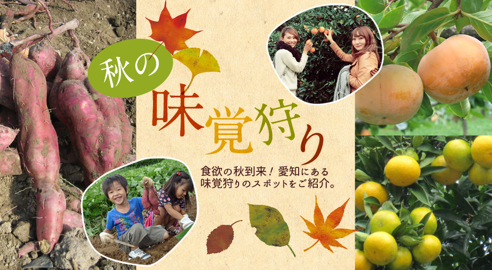 秋の味覚狩り特集 公式 愛知県の観光サイトaichi Now