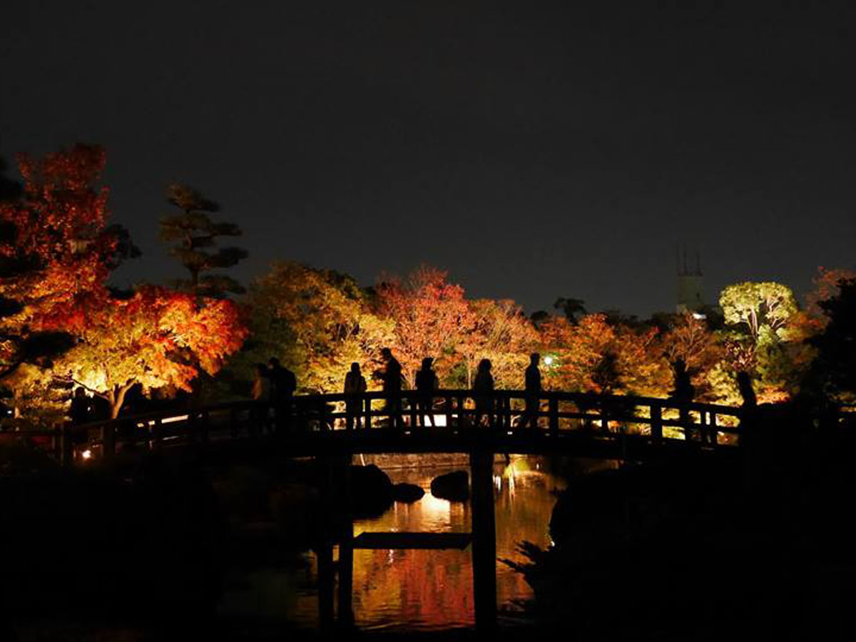 白鳥庭園　觀楓會