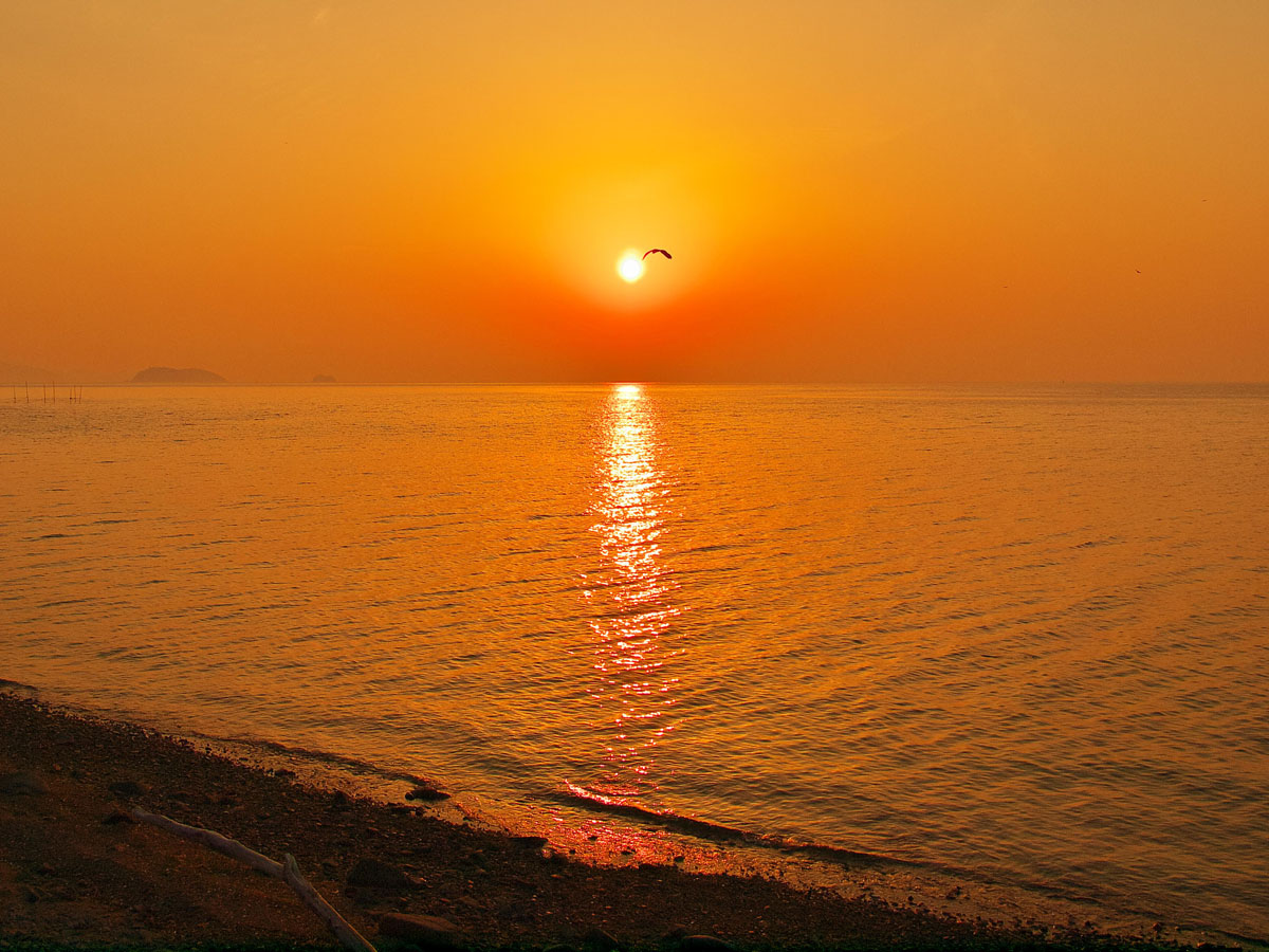 西浦海岸