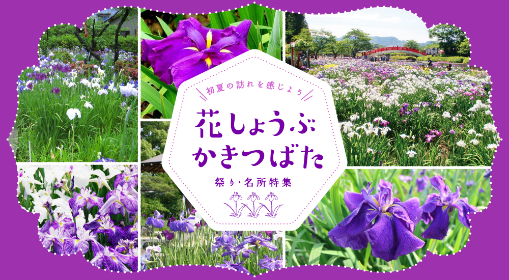 花しょうぶ かきつばた祭り 名所特集 公式 愛知県の観光サイトaichi Now