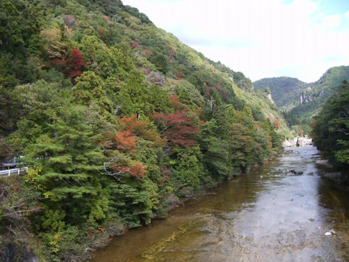 鳳来峡・板敷川