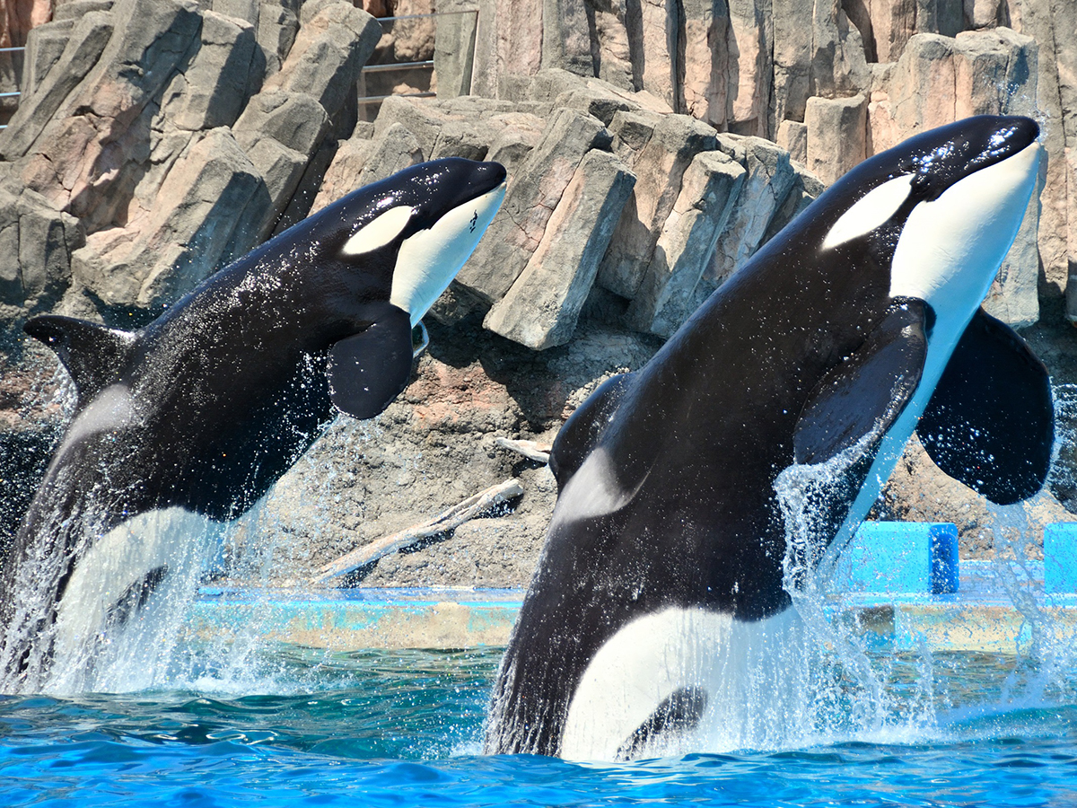 名古屋港水族館