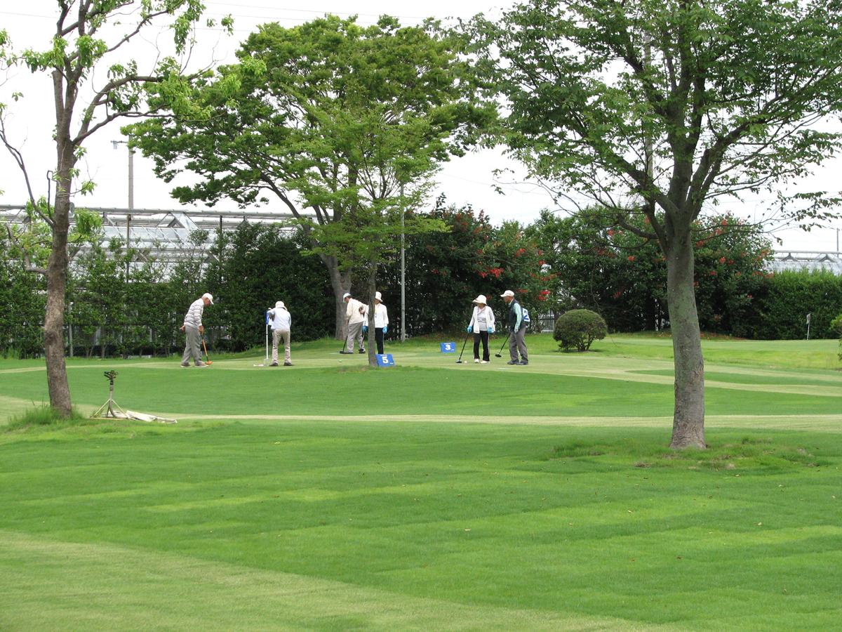 Nishio Golf Blueberry Farm