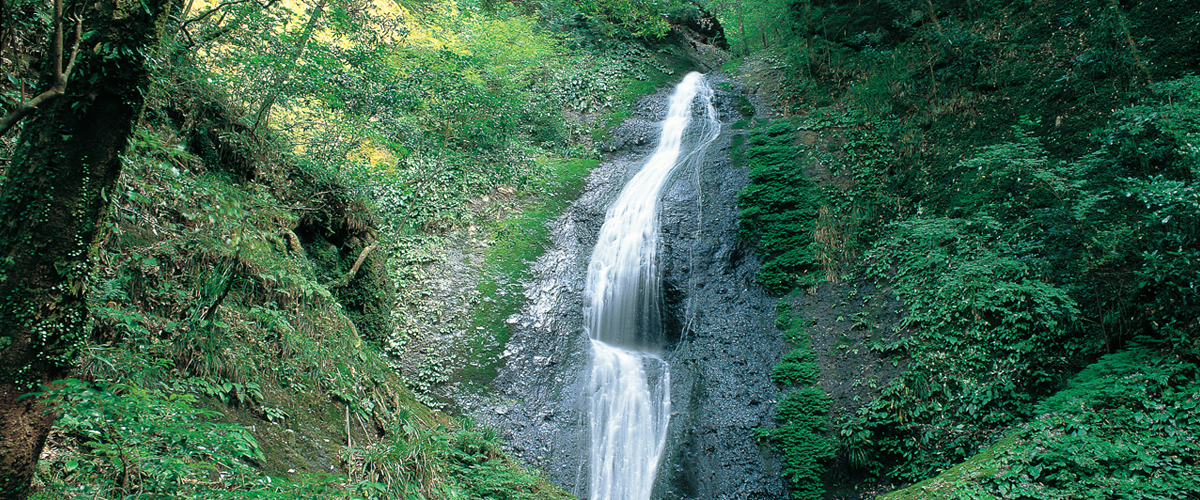 Aichi’s Wonderful Waterfalls