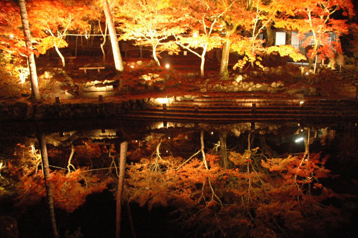 Iwayado Park & Jokoji Temple Autumn Leaves Festival