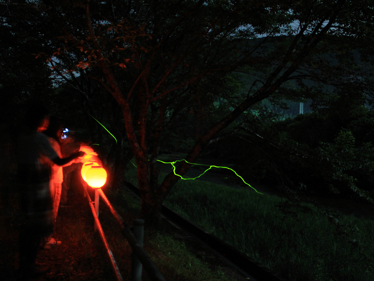 萤火虫的散步道