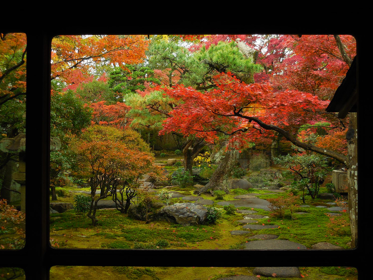 紅葉のおもてなし 旧林家住宅の秋