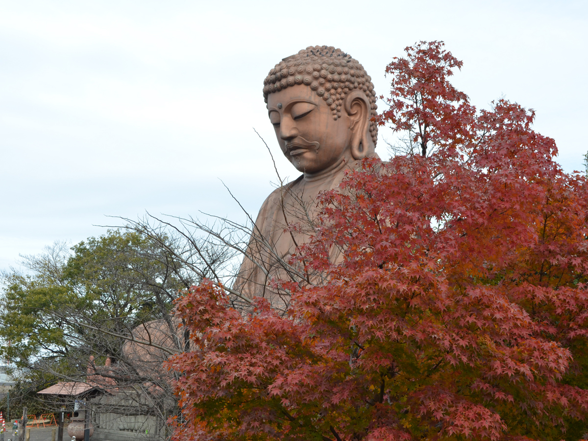 聚楽園公園　もみじまつり