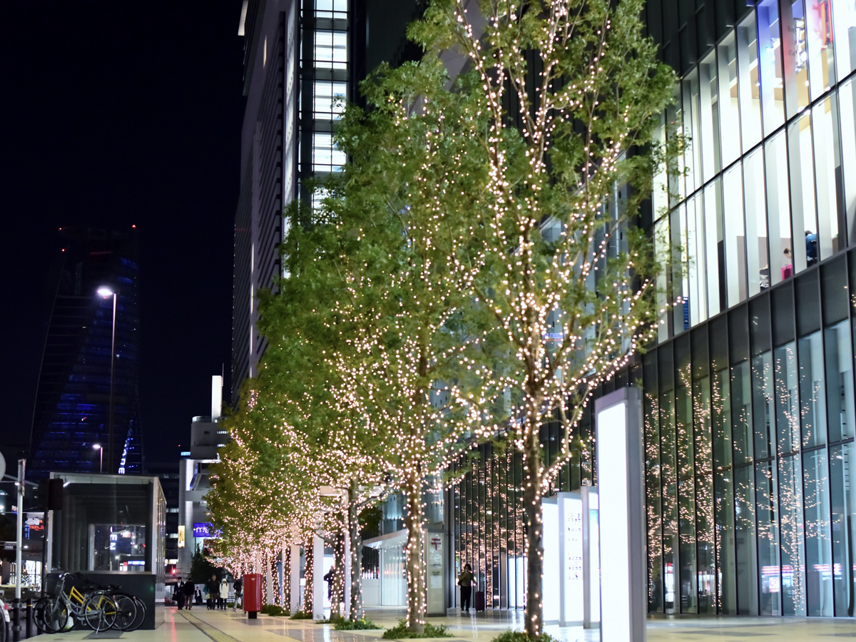 ＫＩＴＴＥ名古屋　FloweRing Christmas ～再生を願う、花飾りのクリスマス～