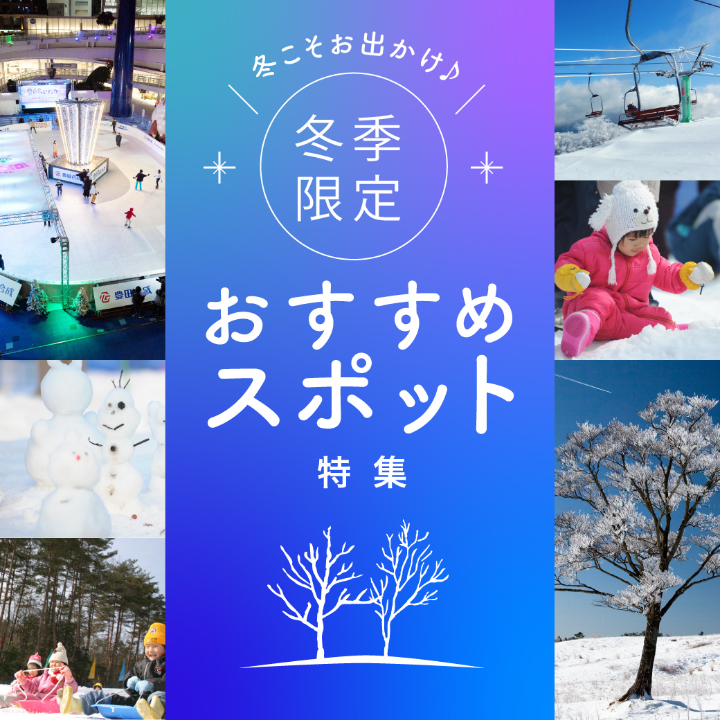 冬こそお出かけ♪愛知の冬季限定おすすめスポット特集