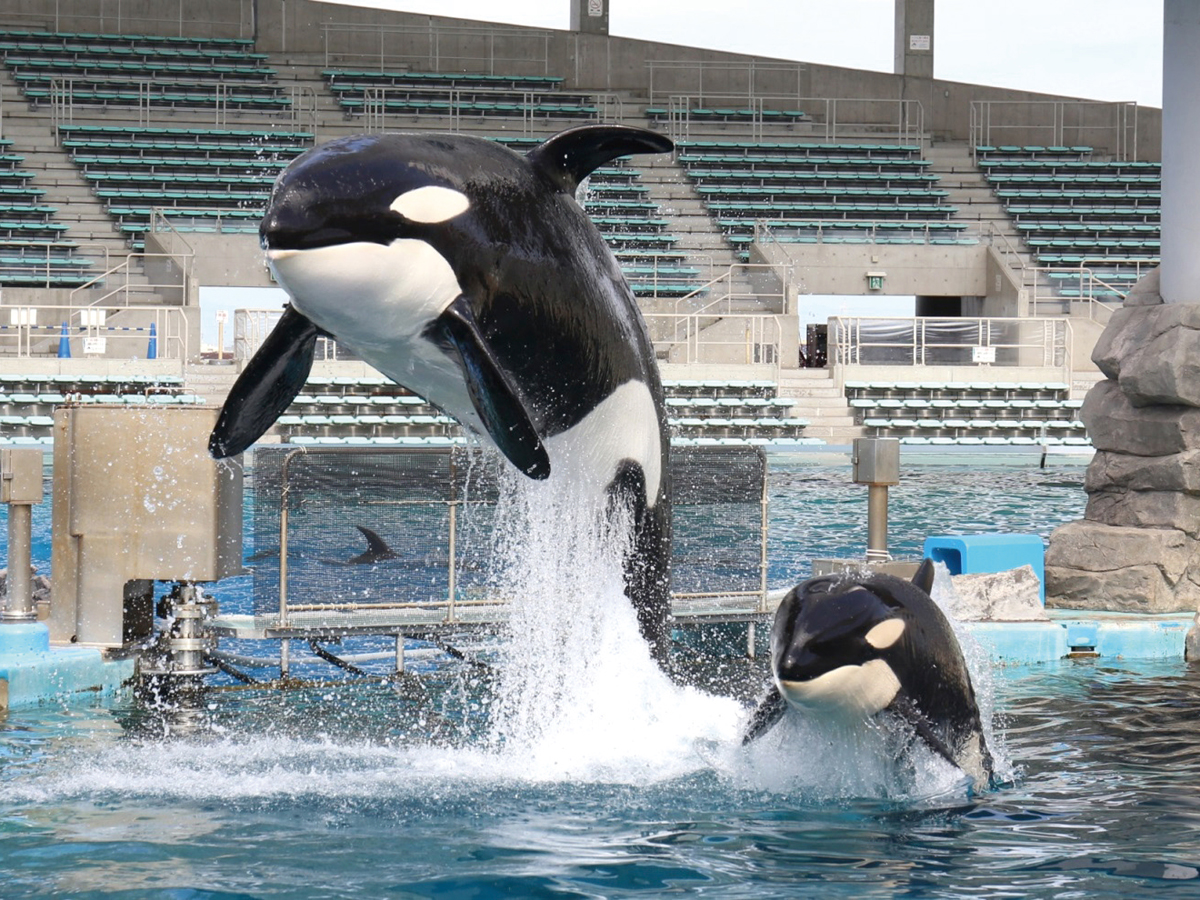 名古屋港水族馆