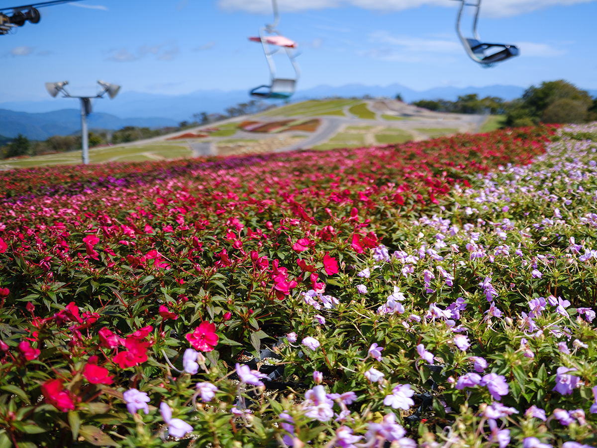 Mt. Chausu Highlands