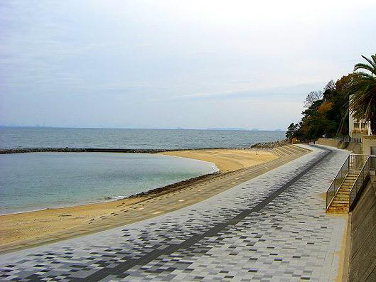 西浦海岸　潮干狩り（前ノ尻海岸・松島漁場）