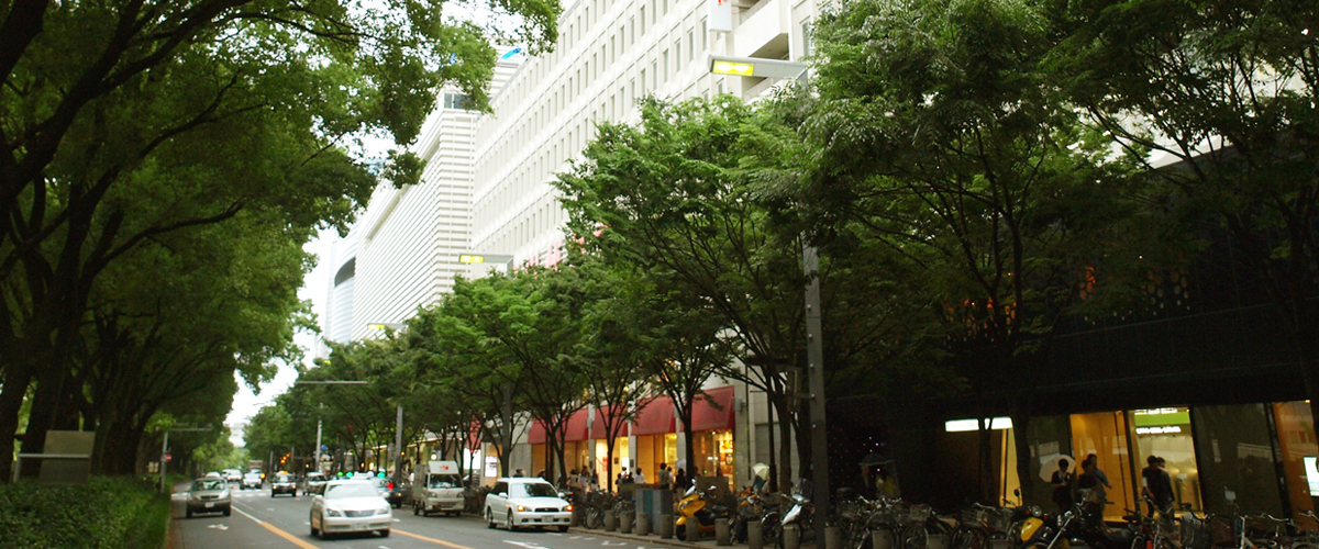 From Upmarket Fashion Brands To Downmarket Bargains, Shopping Is An Adventure In Nagoya!