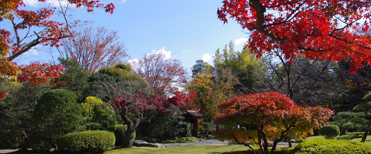 愛知紅葉觀賞景點攻略