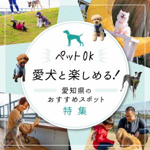 愛犬と楽しめる！愛知県のおすすめスポット特集
