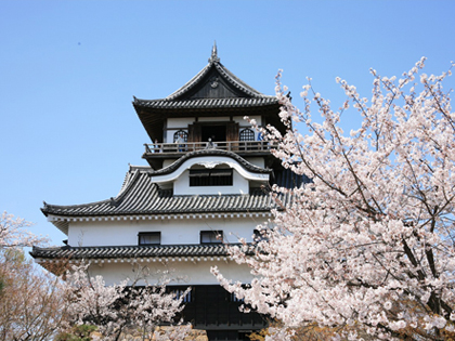 備受推崇的城樓，櫻花盛開的景區