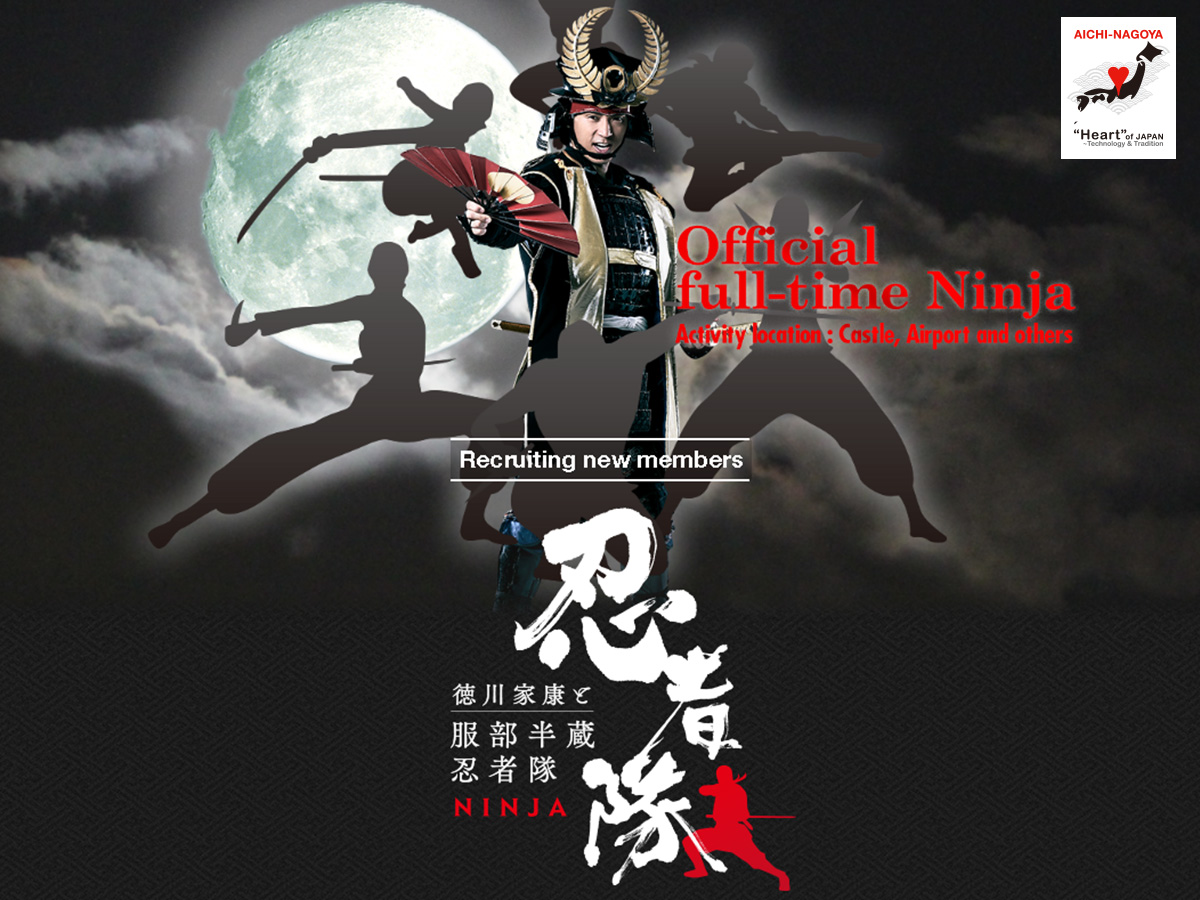 Become an Official, Full-Time Ninja!