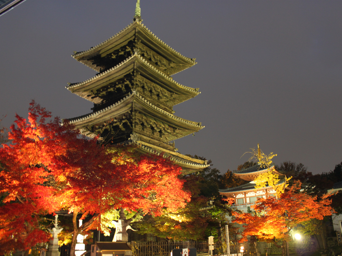 Mt. Yagoto Koshoji Temple Autumn Leaves