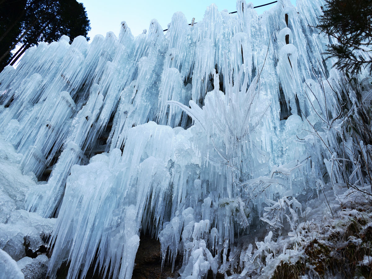 湧水広場の氷瀑 公式 愛知 名古屋の観光サイトaichinow