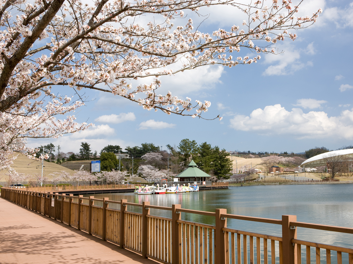 鞍ケ池公園