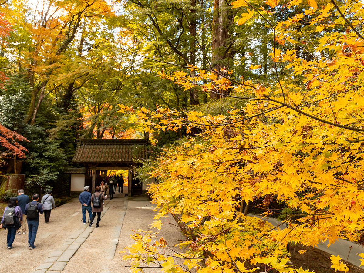 香積寺