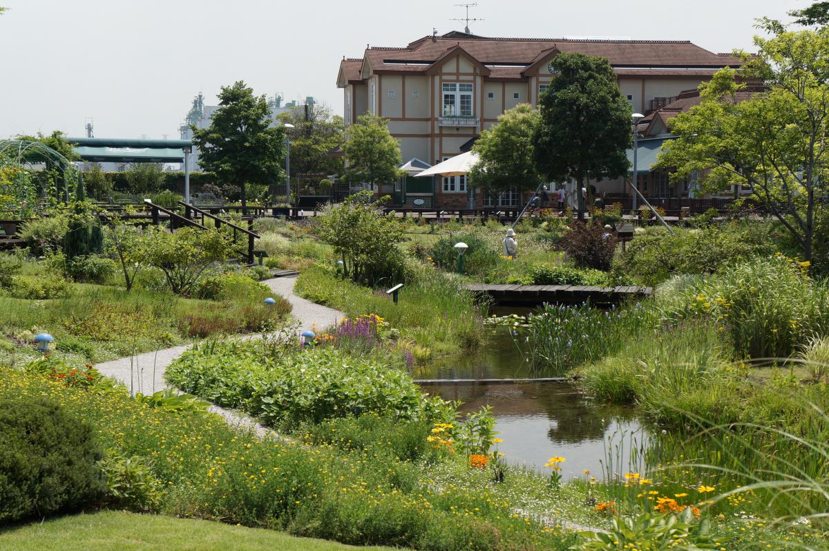 สวนดอกไม้ป่าท่าเรือนาโกย่า "บลูบอนเน็ต" (ปิด)