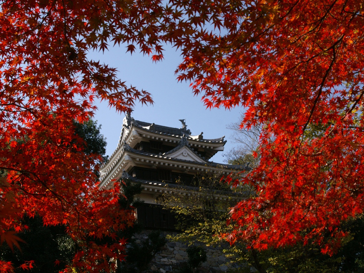 西尾城と旧近衛邸（西尾市歴史公園）