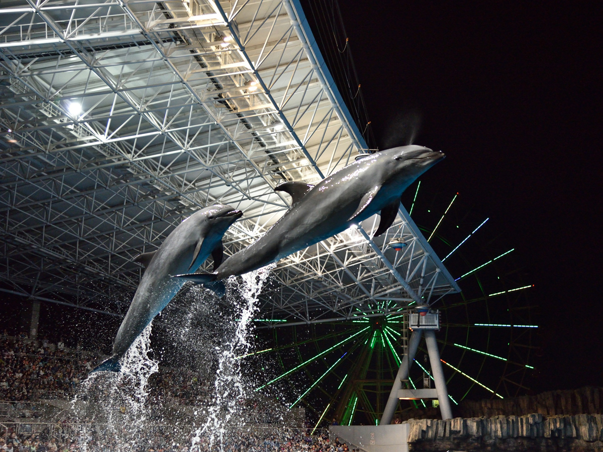 Port of Nagoya Public Aquarium Summer Night Aquarium