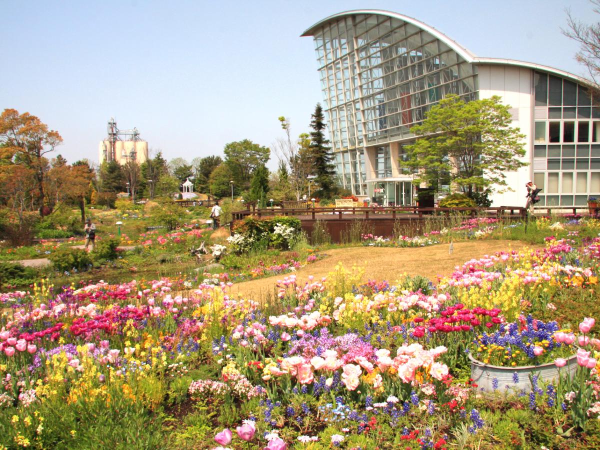 สวนดอกไม้ป่าท่าเรือนาโกย่า "บลูบอนเน็ต" (ปิด)