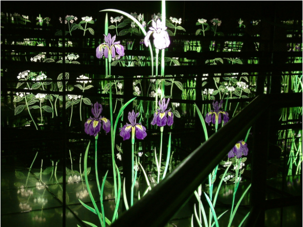 Mirror Room Irises