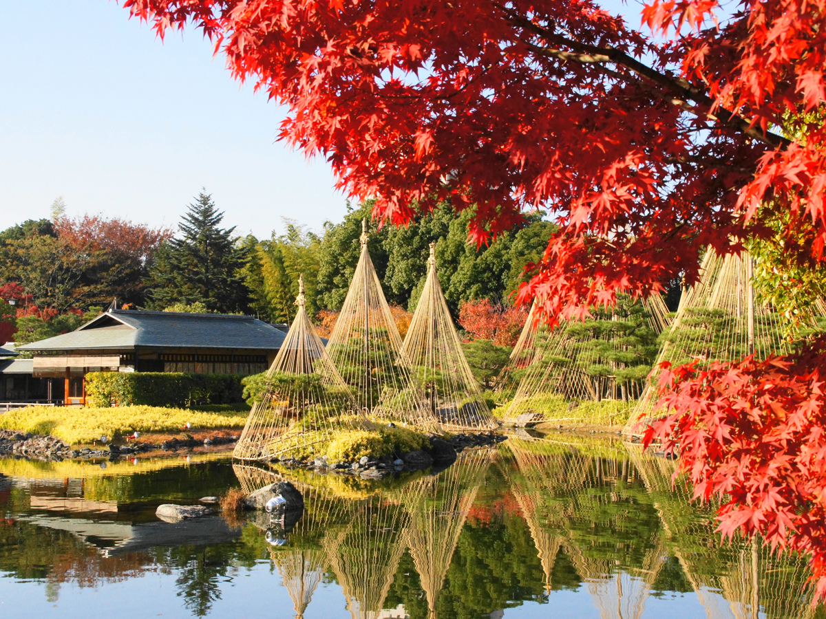 白鳥庭園