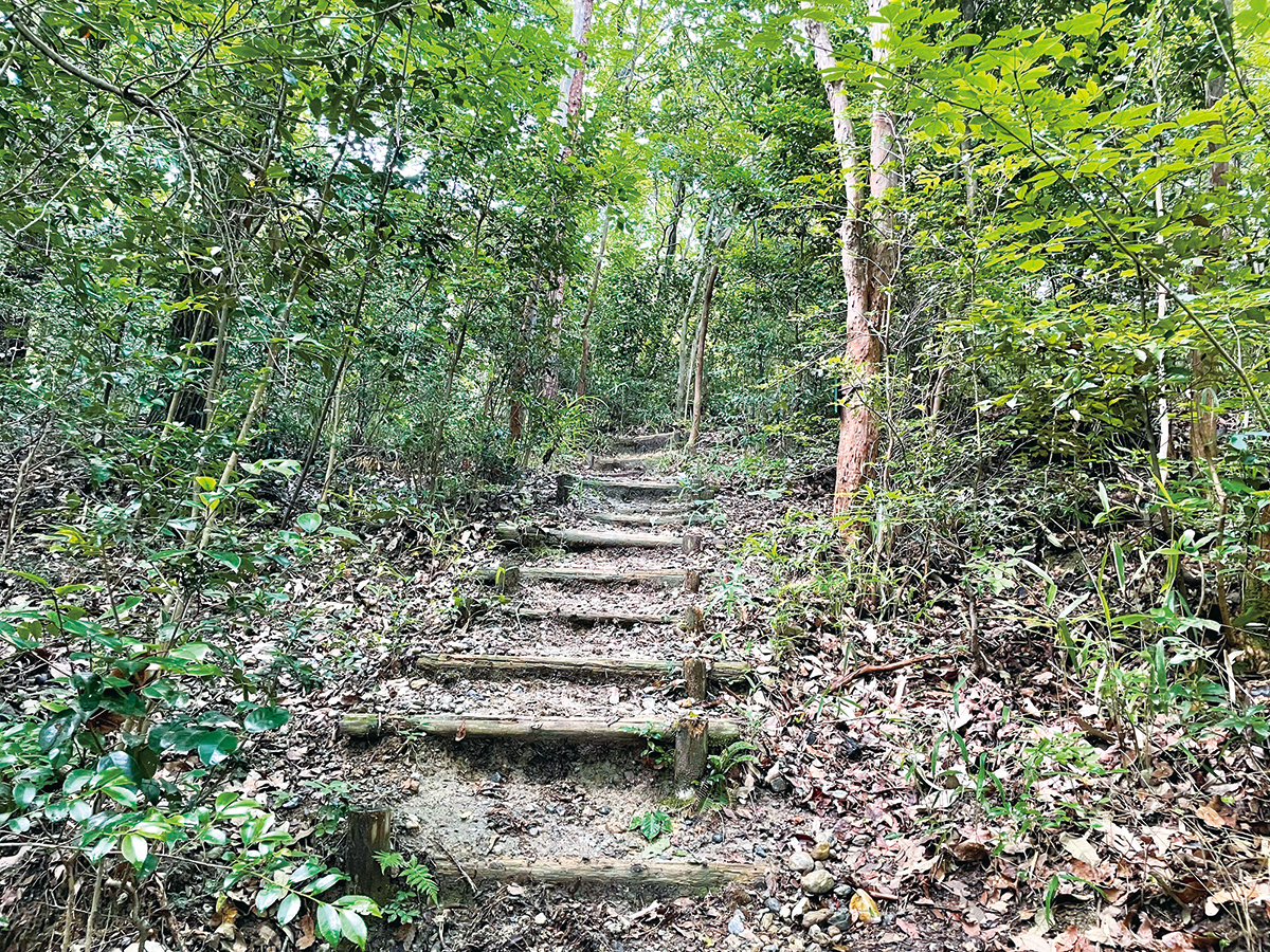 Aichi Kaisho Forest Center