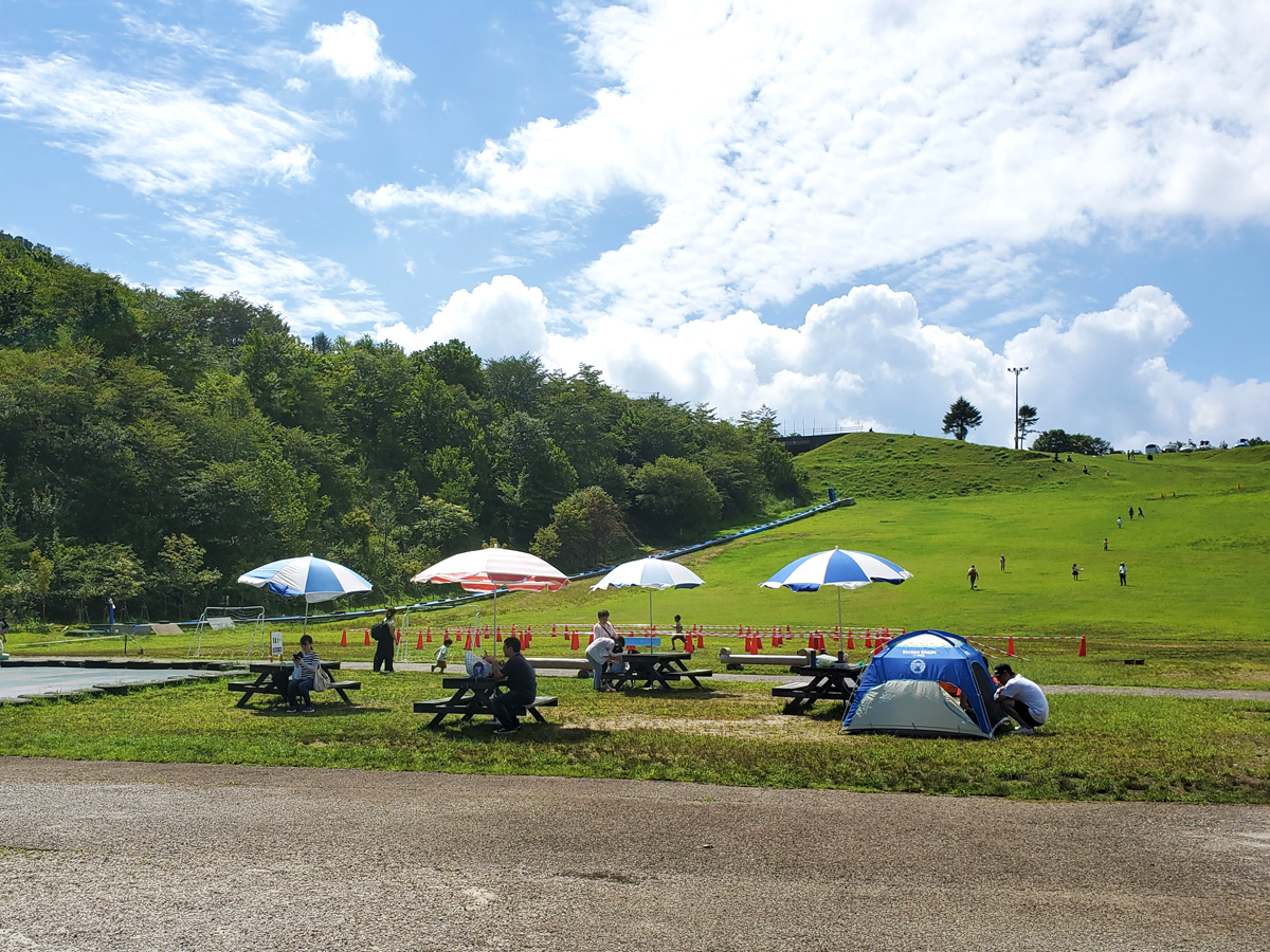 茶臼山 in summer