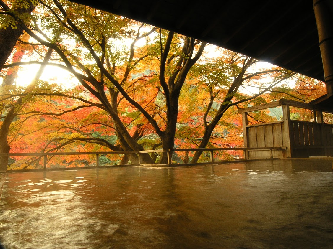 湯谷温泉と しし鍋 公式 愛知県の観光サイトaichi Now